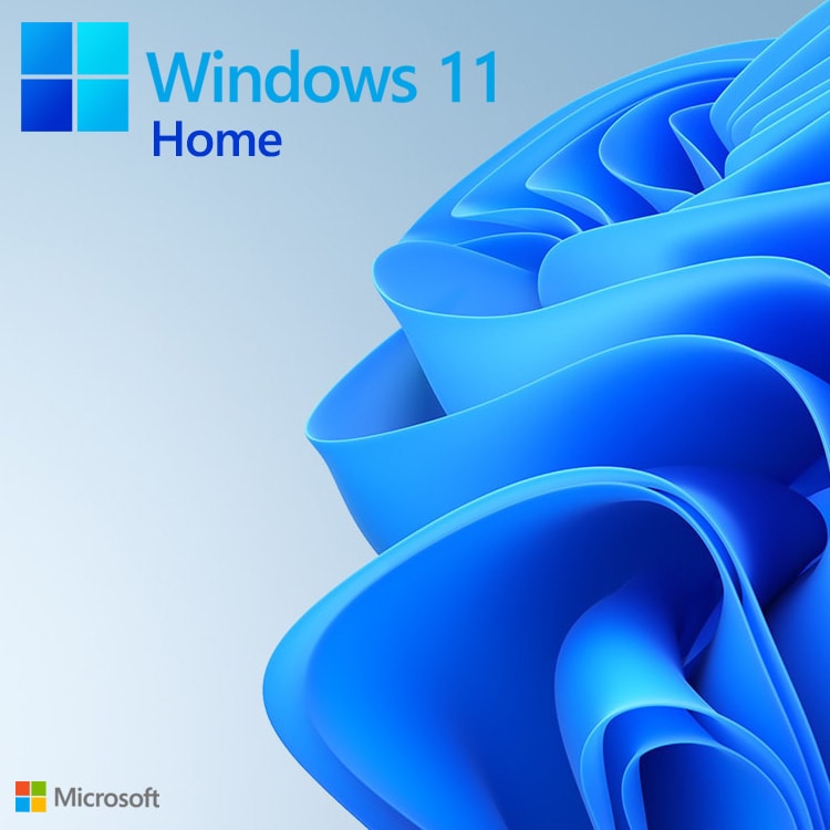 windows 11 home and pro