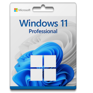 Microsoft Windows 11 Professional license for 3 devices